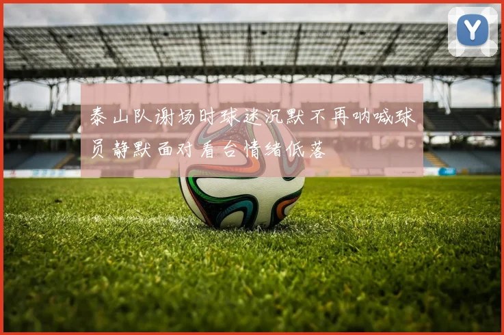 泰山队谢场时球迷沉默不再呐喊球员静默面对看台情绪低落