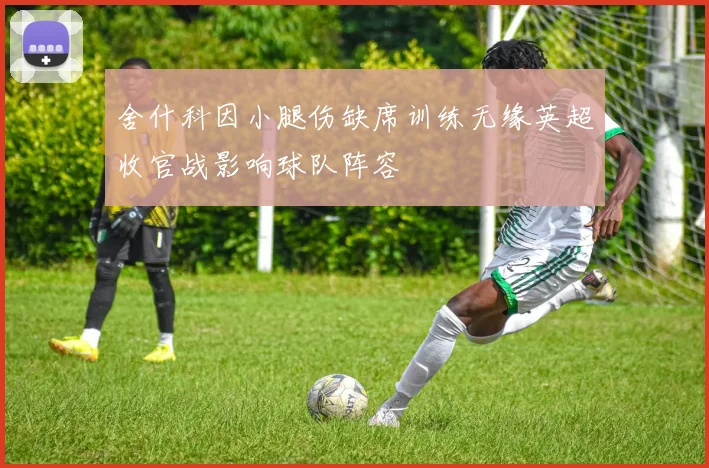 舍什科因小腿伤缺席训练无缘英超收官战影响球队阵容